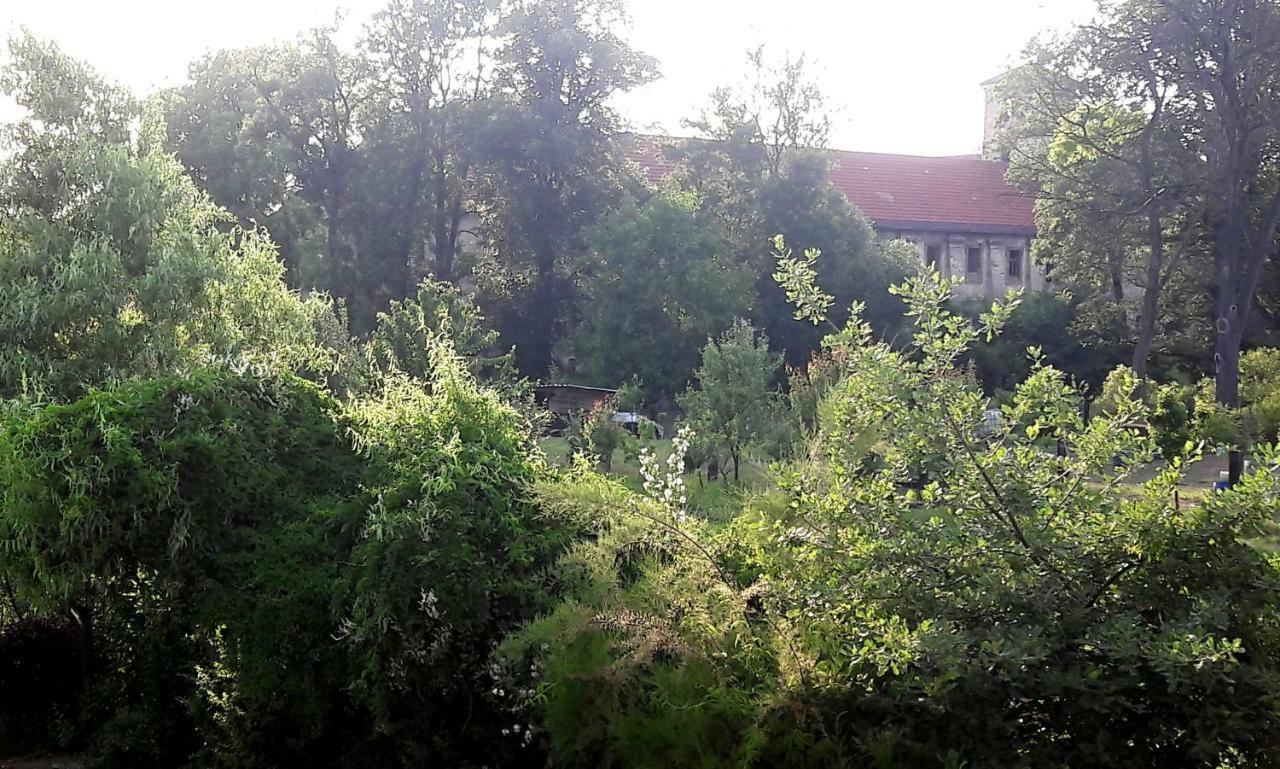 Pivovar Spitt Zahorany Guest House ลิโตเมริเซ ภายนอก รูปภาพ